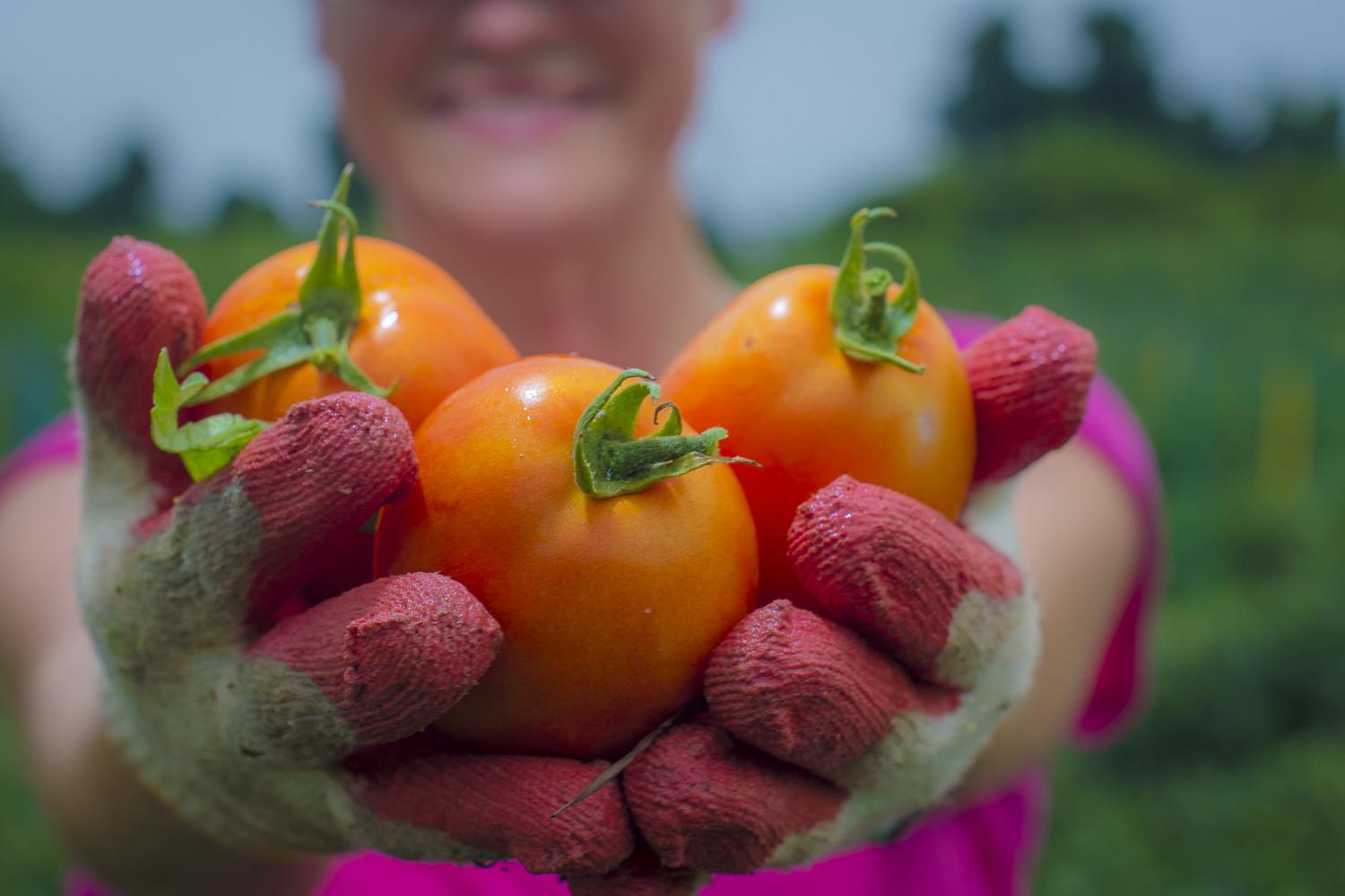  Nous avons parlé de l'importance de la gestion des aliments sur les plateformes numériques pendant le processus de pandémie